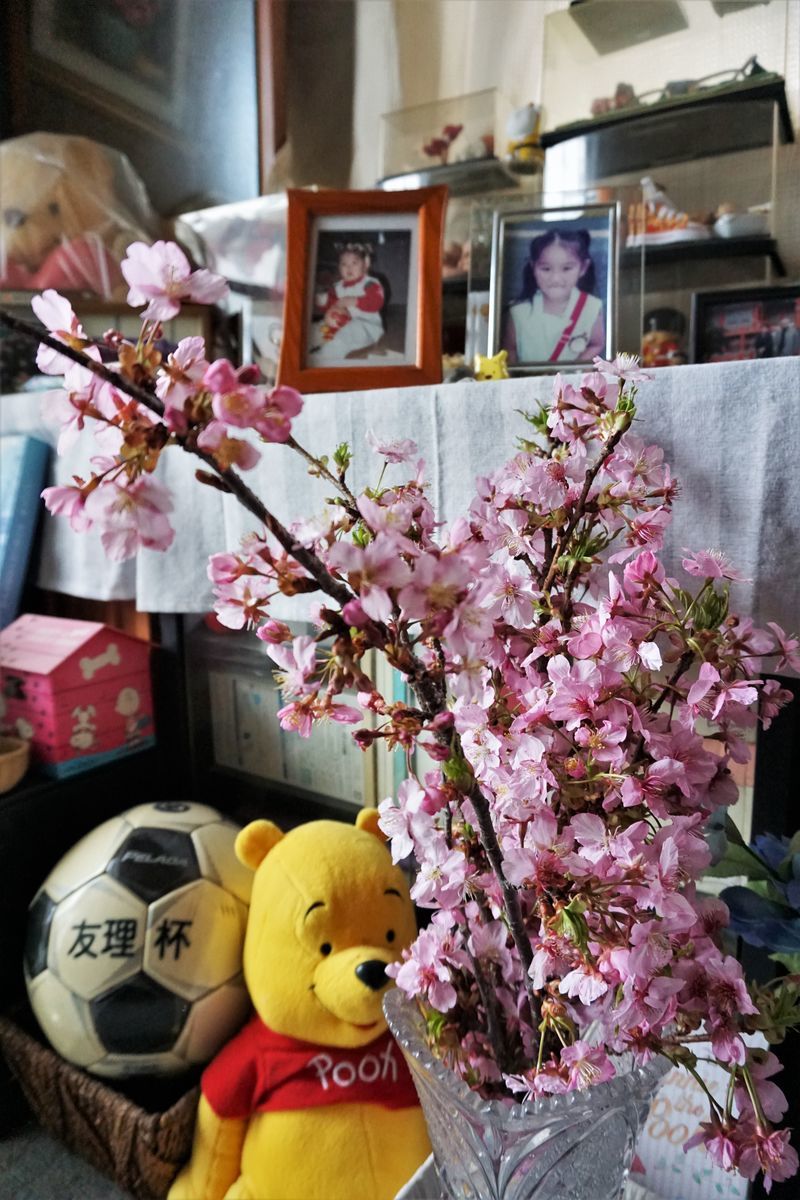 f:id:ohirune-manbou:20210228212224j:plain