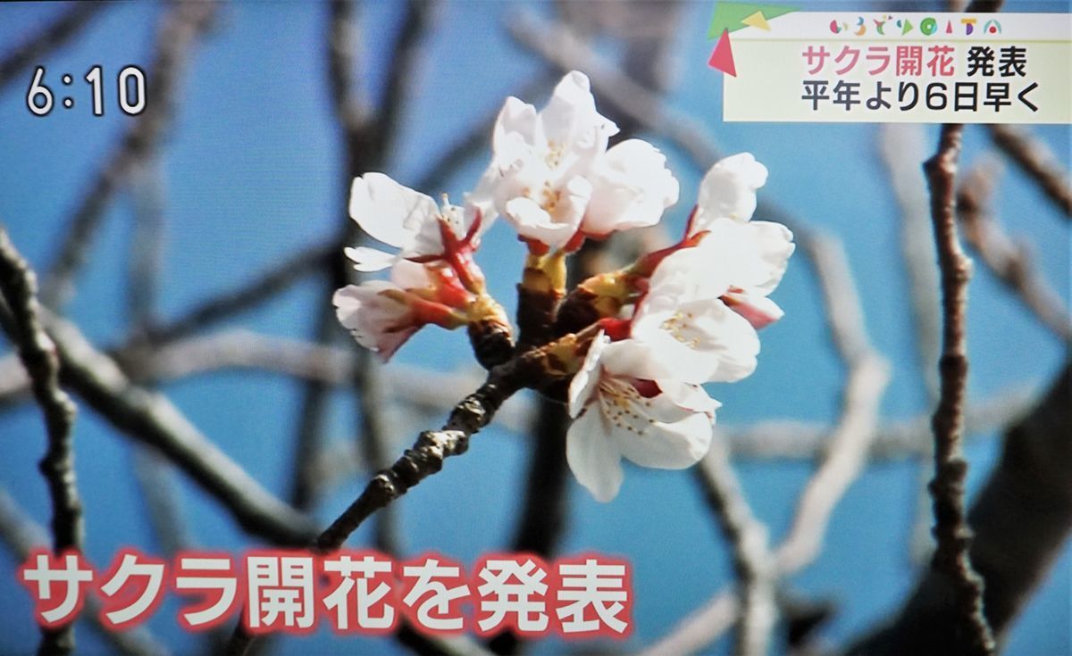 f:id:ohirune-manbou:20210318191104j:plain