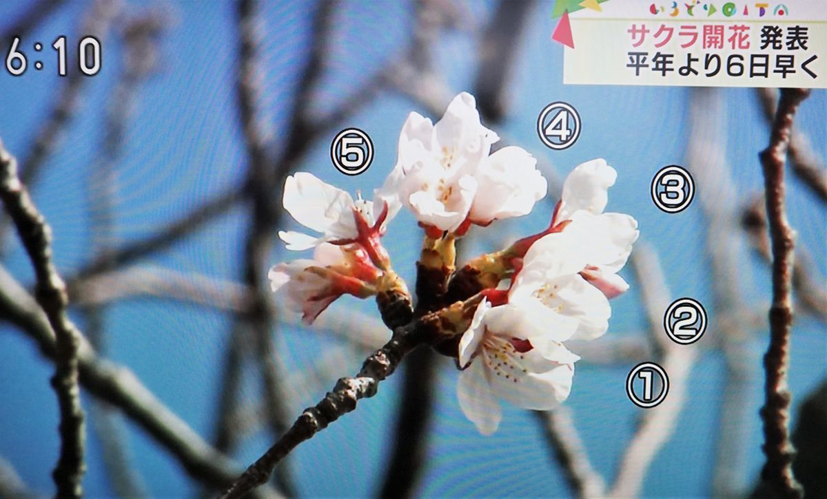 f:id:ohirune-manbou:20210318191139j:plain