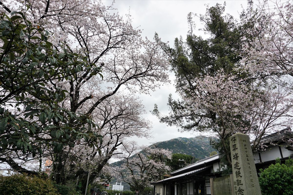 f:id:ohirune-manbou:20210328210936j:plain