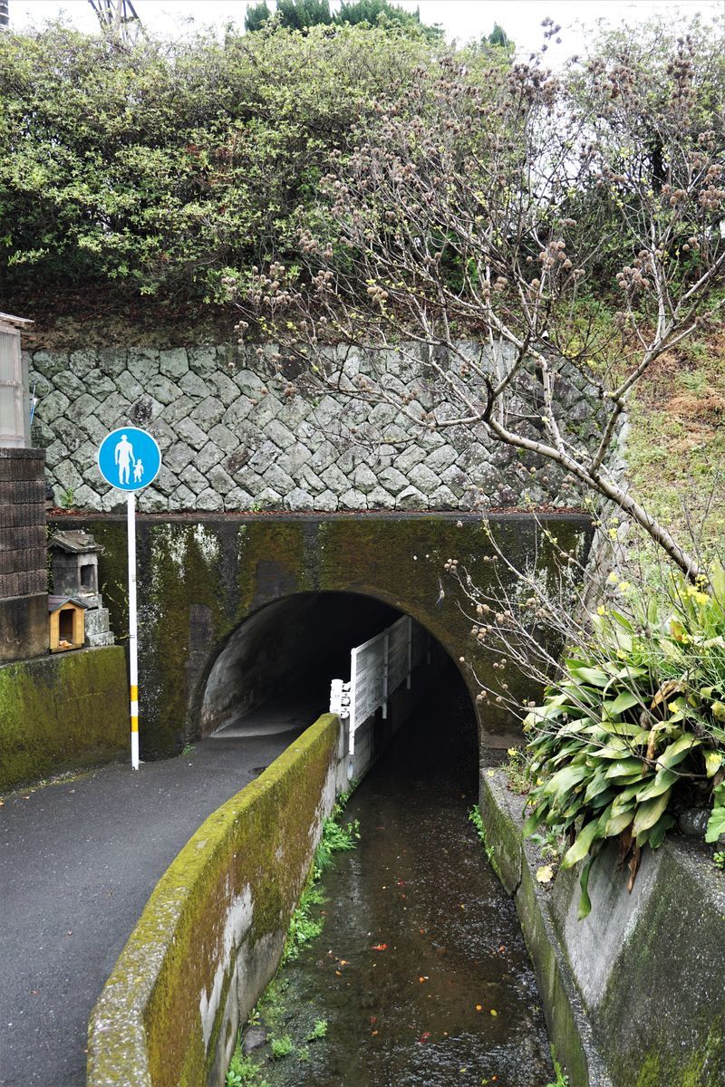 f:id:ohirune-manbou:20210328212510j:plain