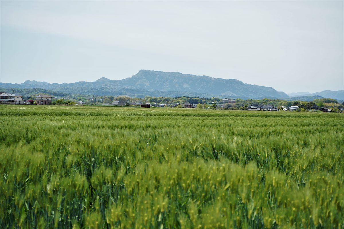 f:id:ohirune-manbou:20210415214712j:plain