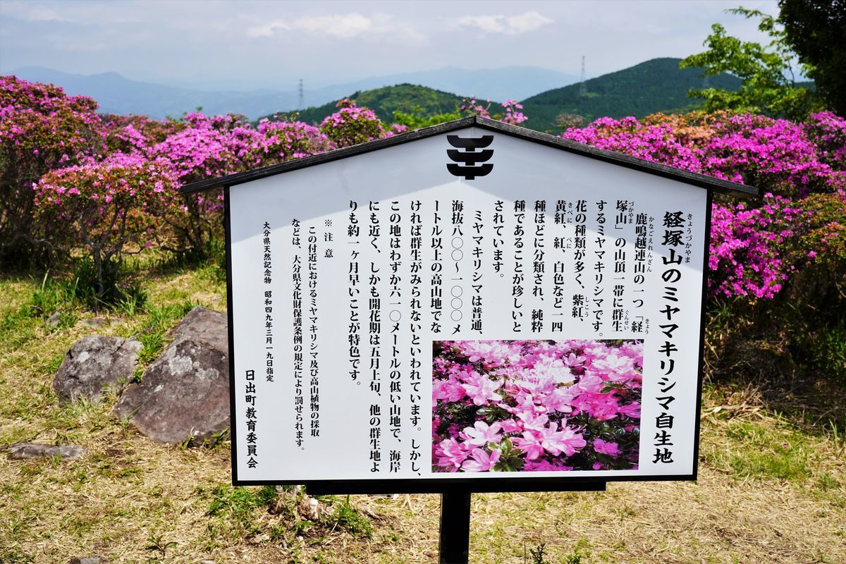 f:id:ohirune-manbou:20210516222042j:plain