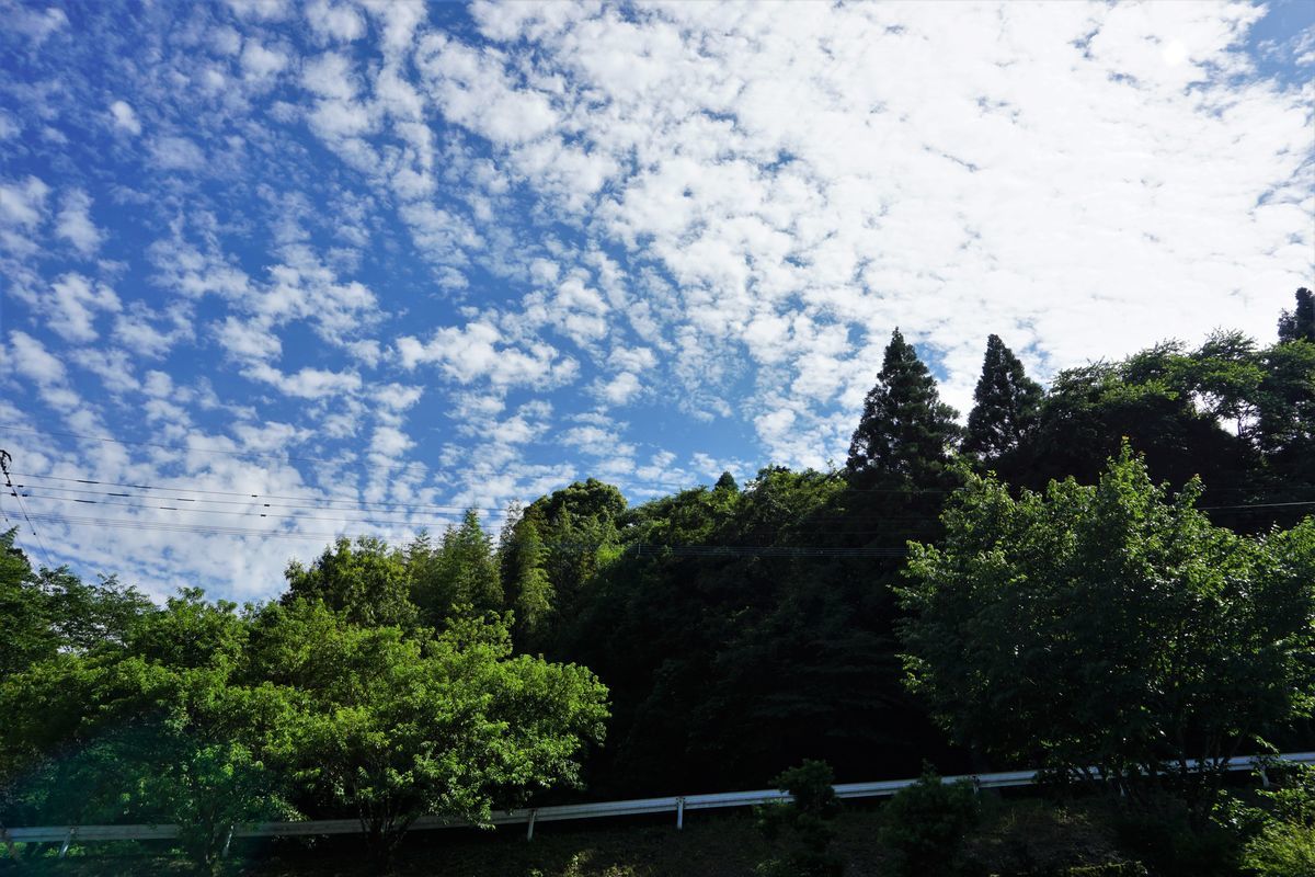f:id:ohirune-manbou:20210621215142j:plain