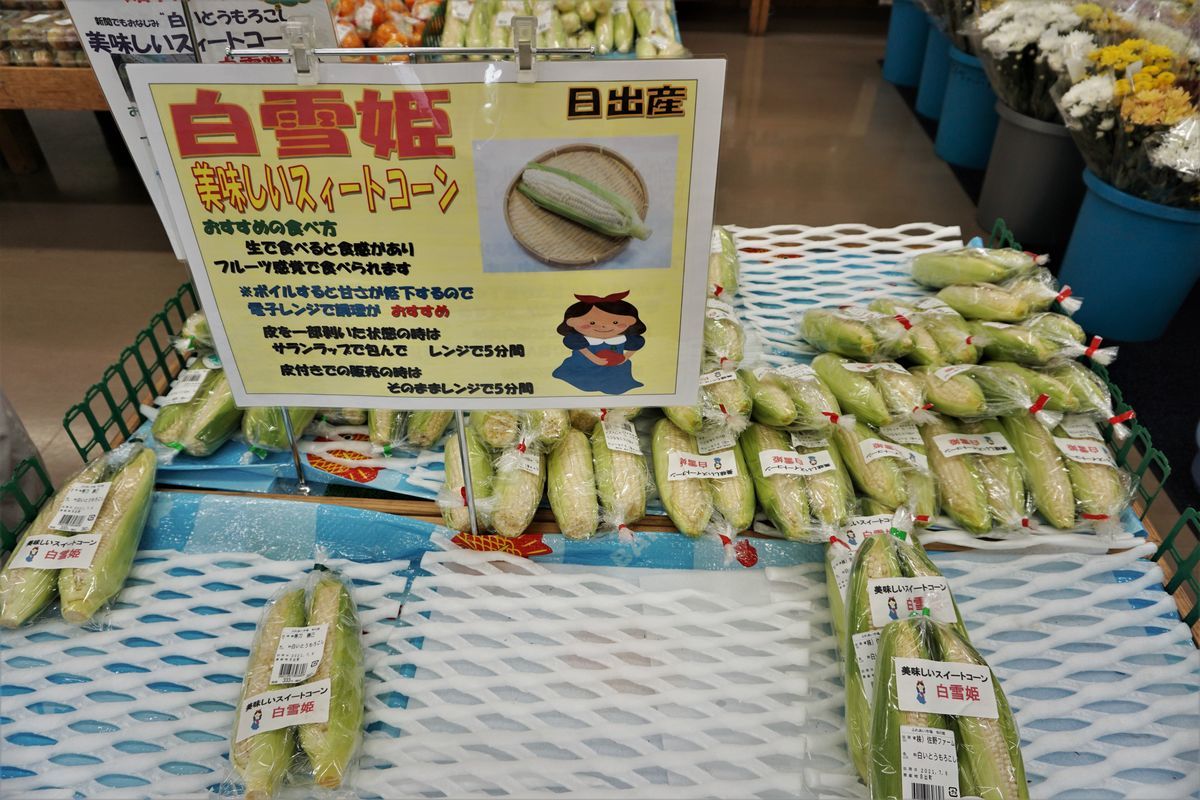 f:id:ohirune-manbou:20210706140213j:plain