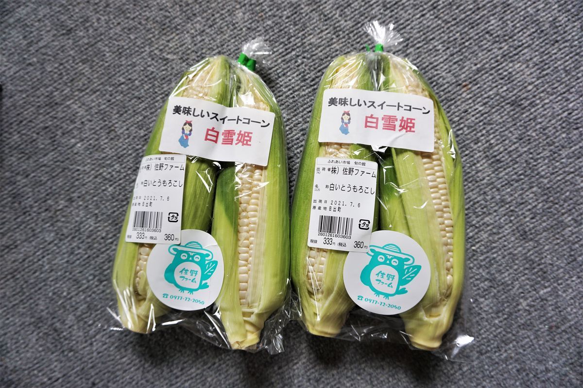 f:id:ohirune-manbou:20210706141452j:plain