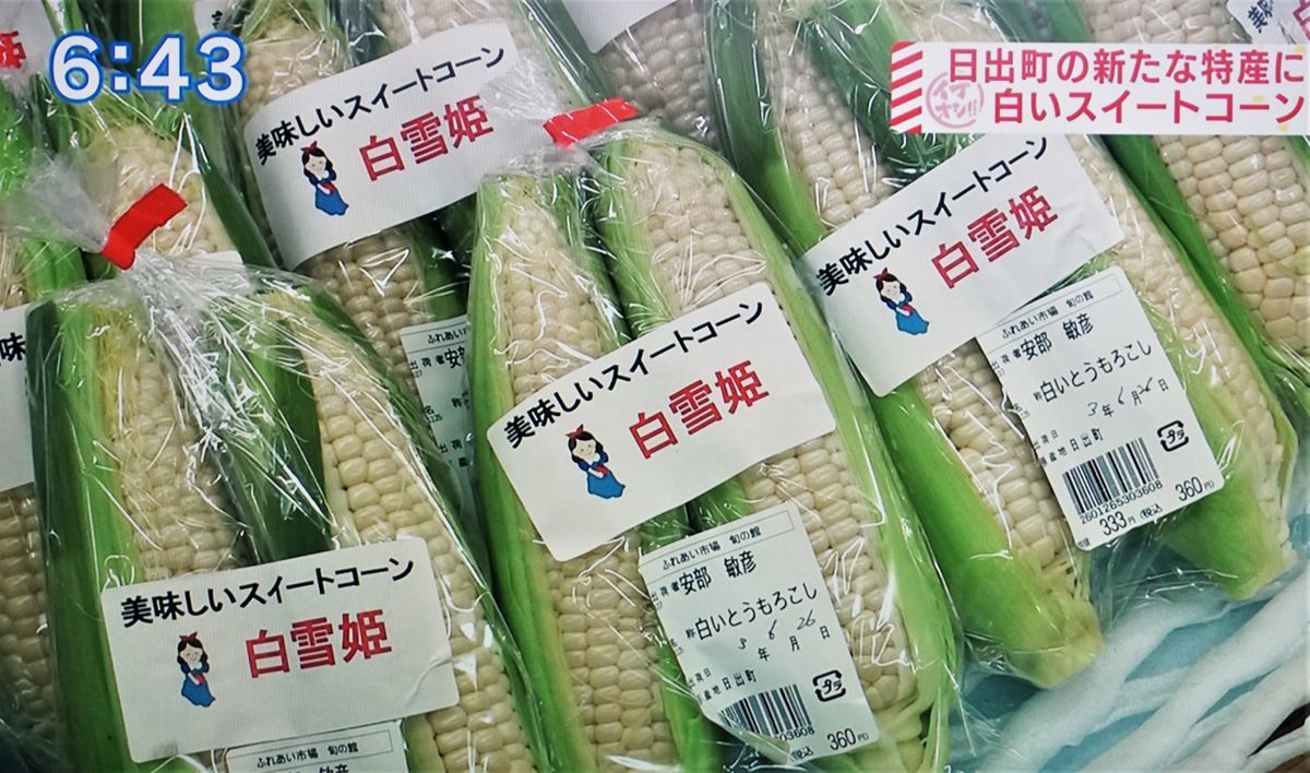 f:id:ohirune-manbou:20210706191014j:plain