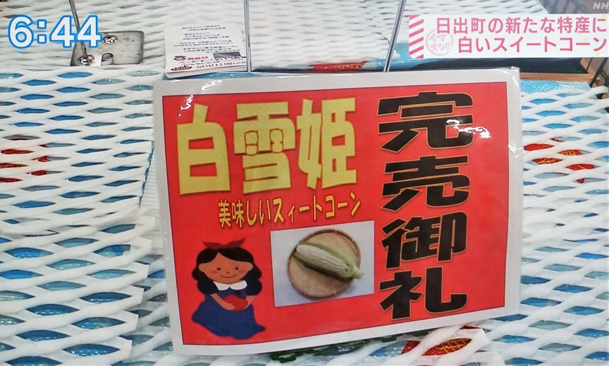f:id:ohirune-manbou:20210706191404j:plain