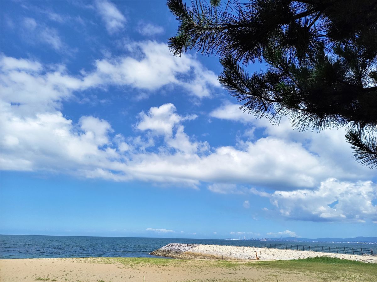 f:id:ohirune-manbou:20210729215252j:plain