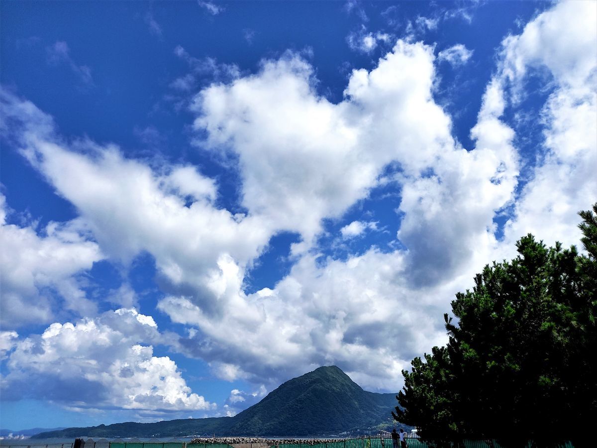 f:id:ohirune-manbou:20210729215342j:plain