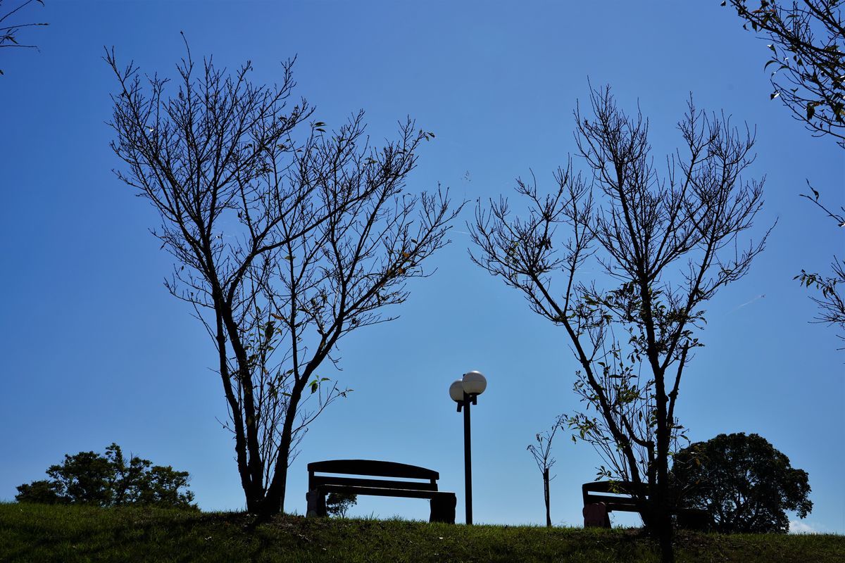 f:id:ohirune-manbou:20211010210048j:plain