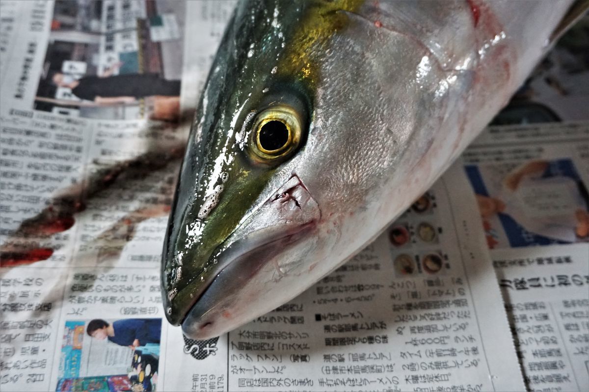 f:id:ohirune-manbou:20211021214536j:plain