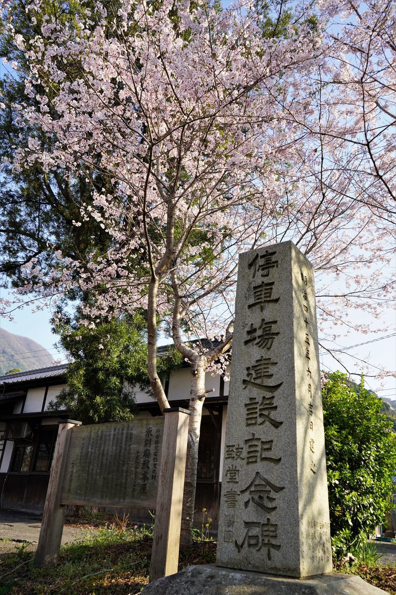 f:id:ohirune-manbou:20220331143054j:plain