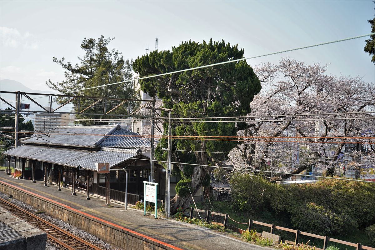 f:id:ohirune-manbou:20220331151717j:plain