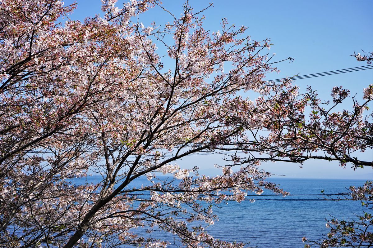 f:id:ohirune-manbou:20220413225854j:plain
