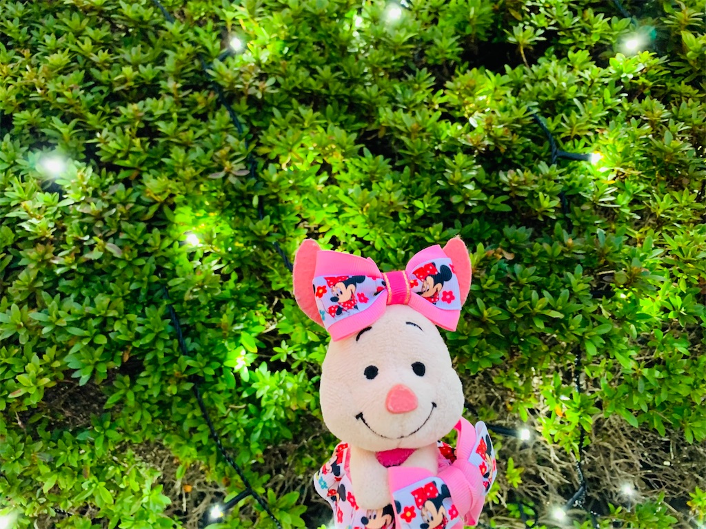 f:id:ohisamahidamari:20211112001728j:image