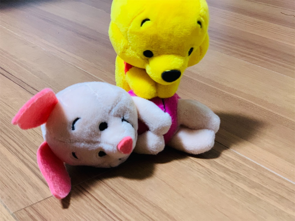 f:id:ohisamahidamari:20211112120317j:image