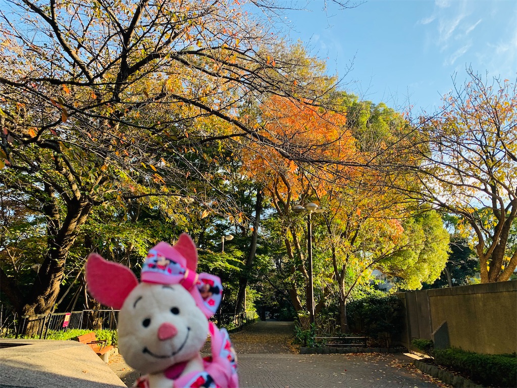 f:id:ohisamahidamari:20211115212058j:image