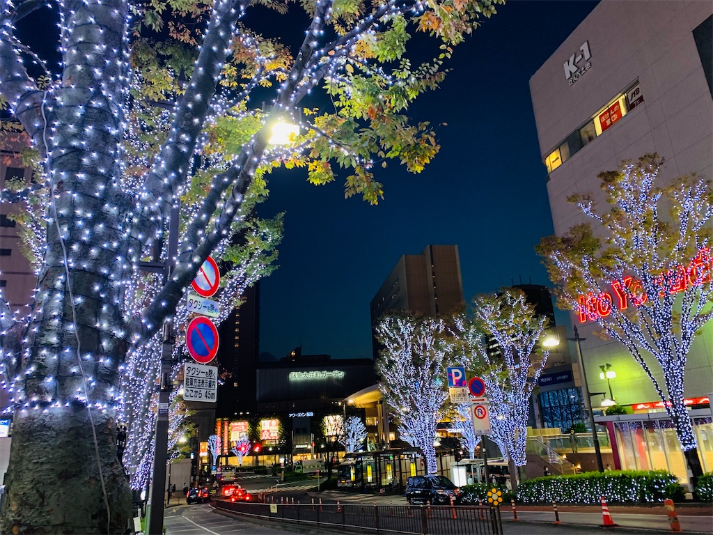 f:id:ohisamahidamari:20211130150910j:image