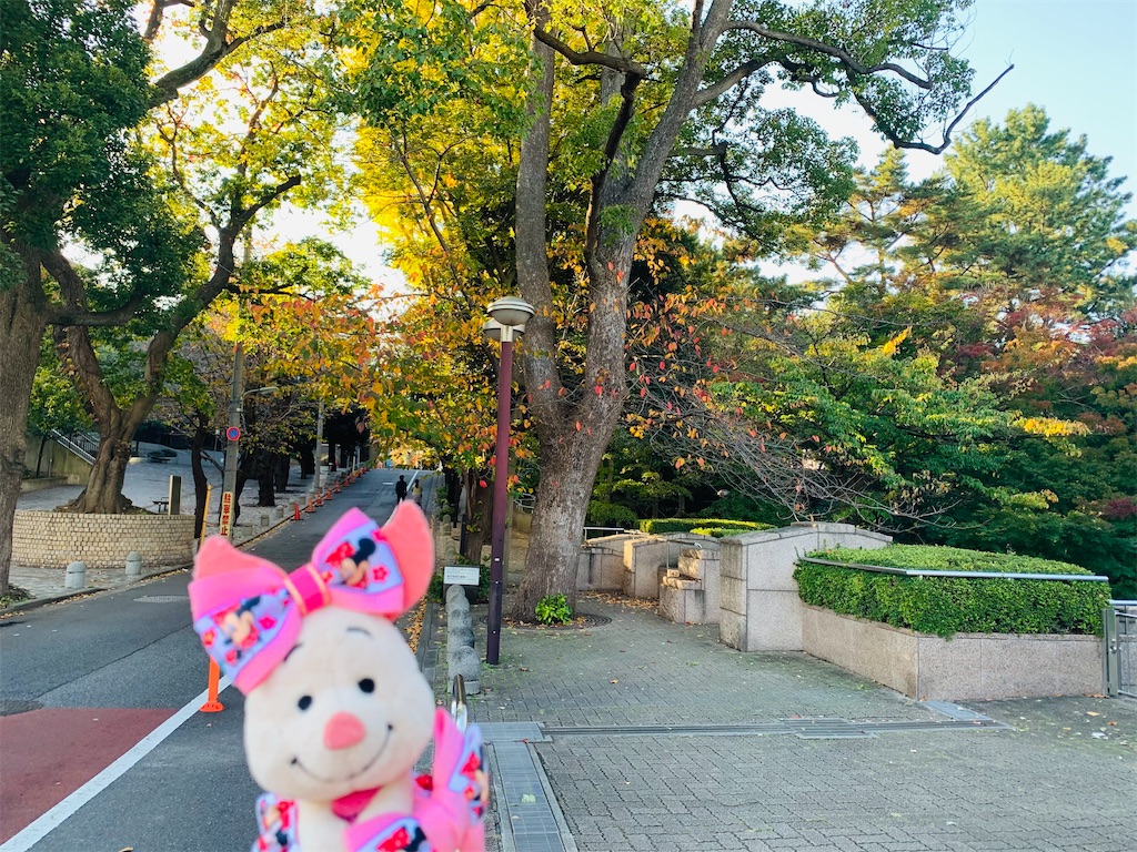 f:id:ohisamahidamari:20211203173736j:image