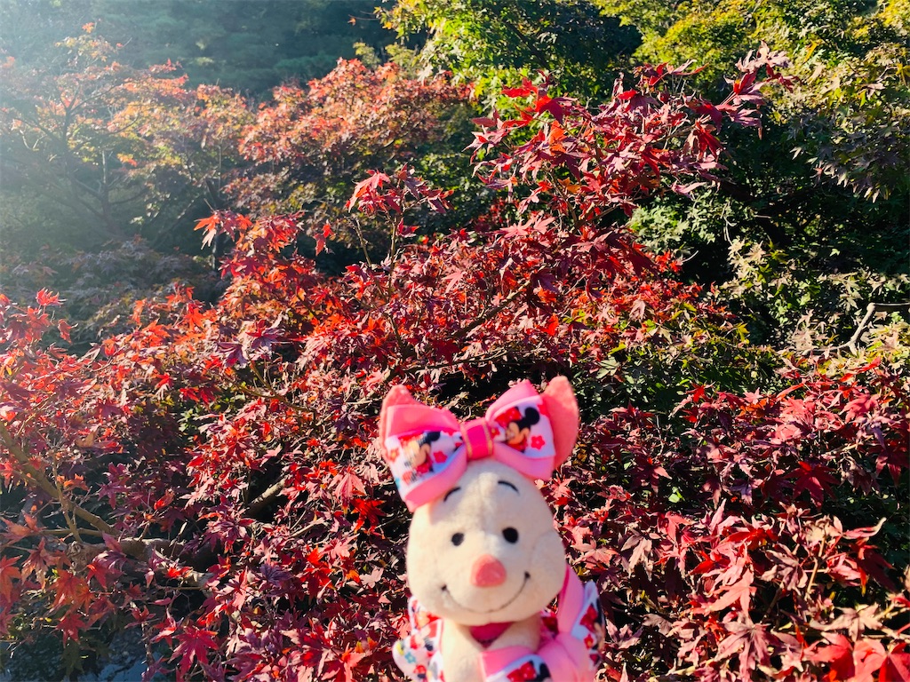 f:id:ohisamahidamari:20211203174528j:image