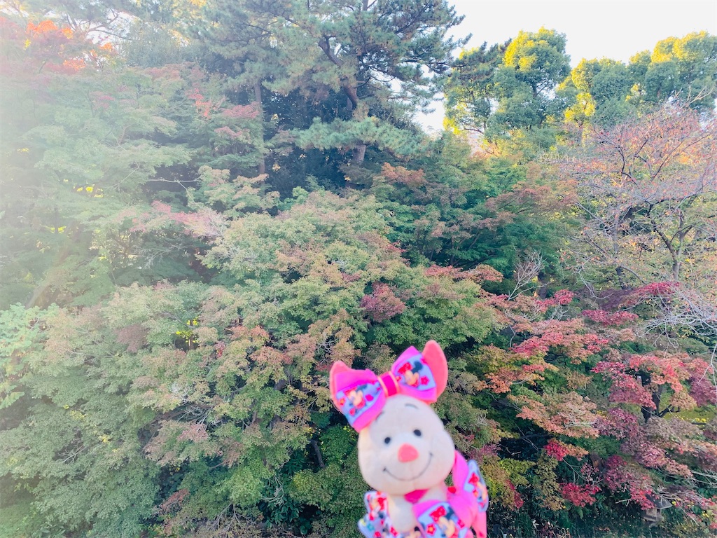 f:id:ohisamahidamari:20211203174531j:image