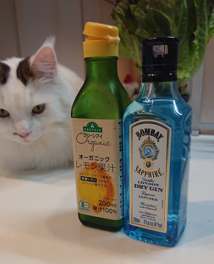 f:id:ohitorisama-daisuki:20201107093425j:plain