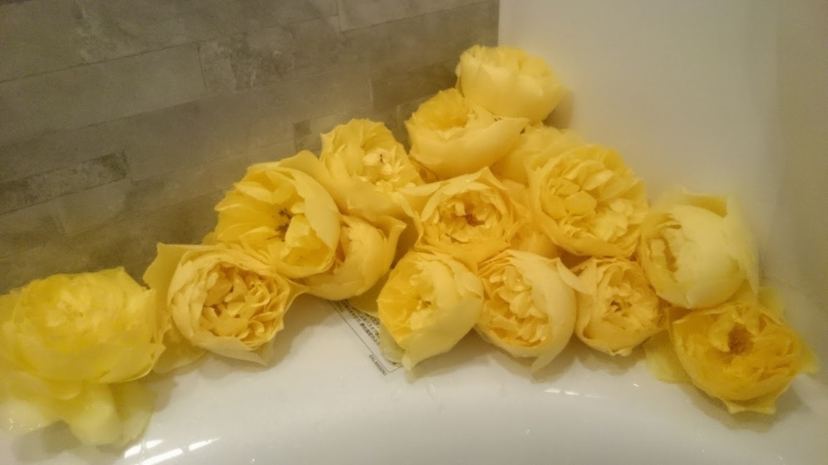 f:id:ohitorisama-daisuki:20201203084713j:plain
