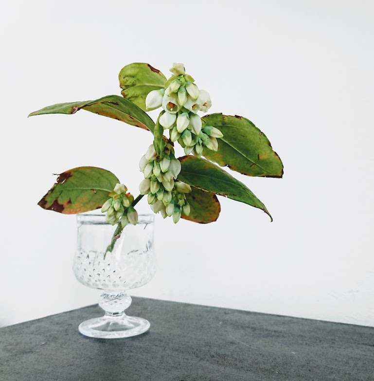 f:id:ohitorisama-daisuki:20210402094105j:plain