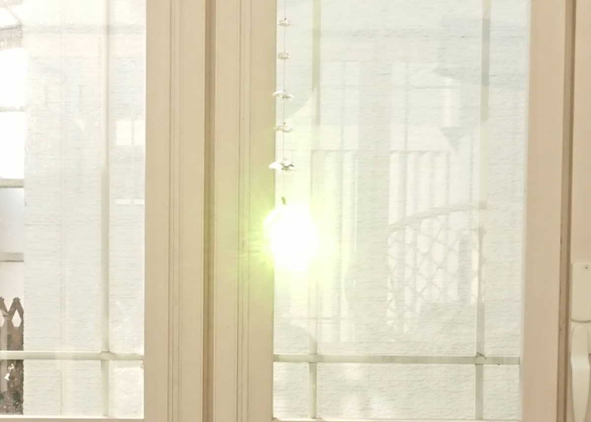 f:id:ohitorisama-daisuki:20210414081136j:plain