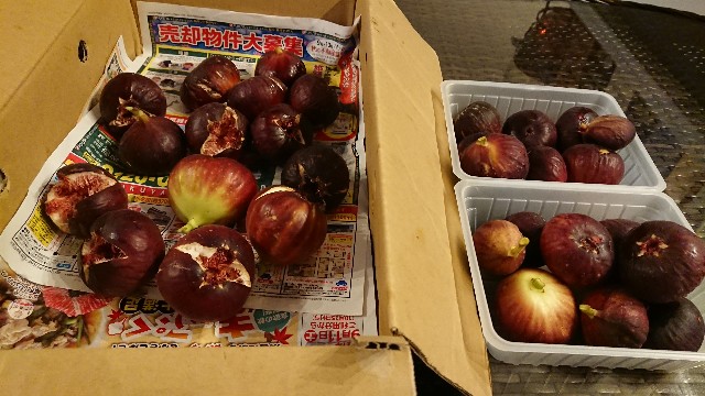 f:id:ohitorisama-daisuki:20211022180814j:image