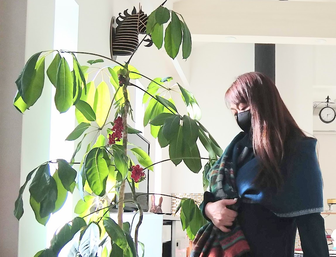 f:id:ohitorisama-daisuki:20220120184841j:plain