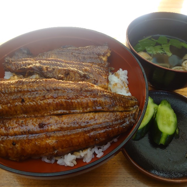 f:id:ohitorisamapiano:20210803184202j:image f:id:ohitorisamapiano:20210803184202j:image