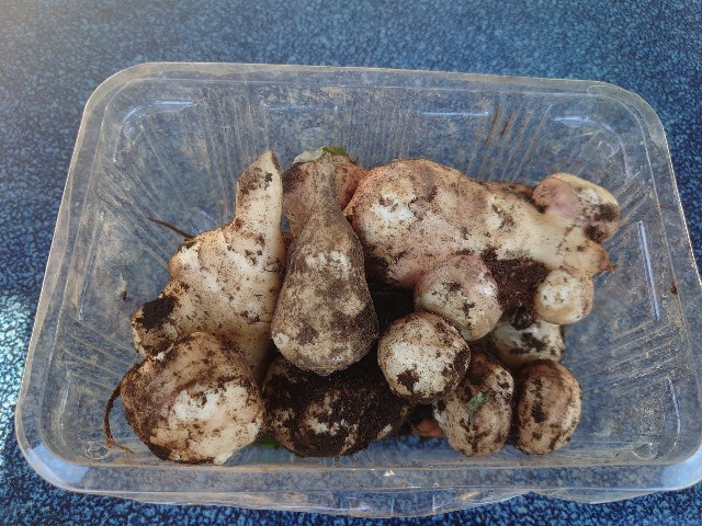 f:id:ohitorisamapiano:20211201174031j:image f:id:ohitorisamapiano:20211201174031j:image