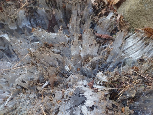 f:id:ohitorisamapiano:20220112170338j:image f:id:ohitorisamapiano:20220112170338j:image