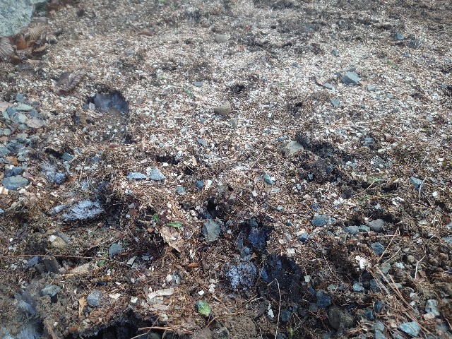 f:id:ohitorisamapiano:20220112170422j:plain