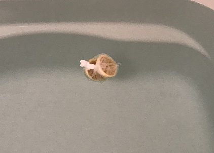 f:id:ohitorisamazanmai:20181124225957j:plain