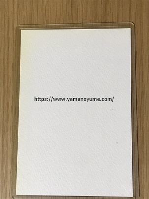 f:id:ohitorisamazanmai:20190415100444j:plain f:id:ohitorisamazanmai:20190415100444j:plain