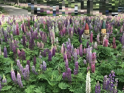 f:id:ohitorisamazanmai:20190511201111j:plain f:id:ohitorisamazanmai:20190511201111j:plain