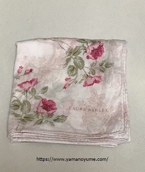 f:id:ohitorisamazanmai:20190518111409j:plain f:id:ohitorisamazanmai:20190518111409j:plain