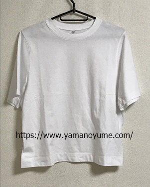 f:id:ohitorisamazanmai:20190605183035j:plain