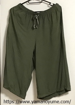 f:id:ohitorisamazanmai:20190608125204j:plain