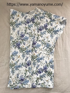 f:id:ohitorisamazanmai:20190619122630j:plain