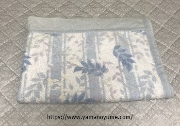 f:id:ohitorisamazanmai:20190819100851j:plain