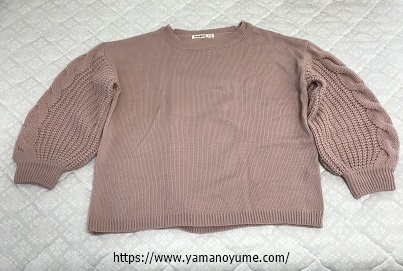 f:id:ohitorisamazanmai:20190918230844j:plain