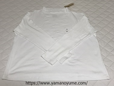 f:id:ohitorisamazanmai:20191002131718j:plain