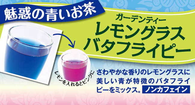 f:id:ohitorisamazanmai:20191031215204j:plain f:id:ohitorisamazanmai:20191031215204j:plain