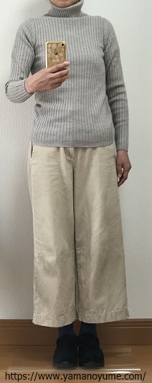 f:id:ohitorisamazanmai:20191201095806j:plain