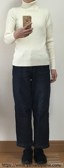 f:id:ohitorisamazanmai:20191201095847j:plain