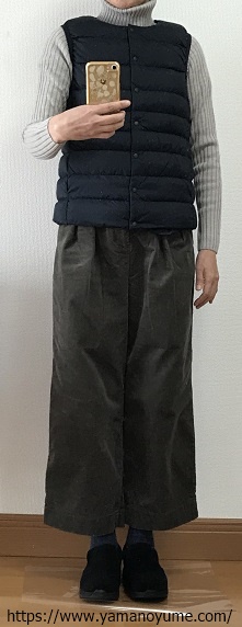 f:id:ohitorisamazanmai:20191201100206j:plain